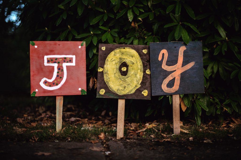 gift guide, joy sign, grand rapids
